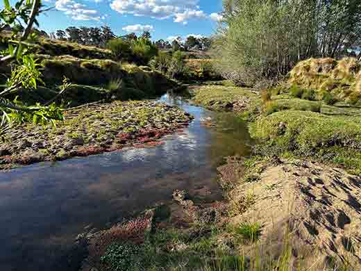 Leechs Gully