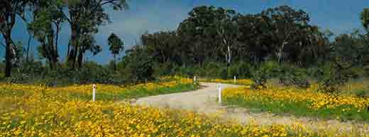 Pozieres