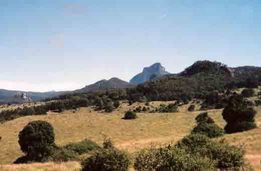 Scenic Rim